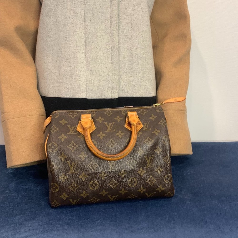 Authentic Louis Vuitton LV Speedy Vintage Handbag Purse